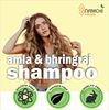 Picture of Natural Amla and  Bhringraj Shampoo _ Pack of 2