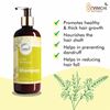 Picture of Natural Amla and  Bhringraj Shampoo _ Pack of 2