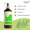 Picture of Neem and Tea Tree Shampoo _ Pack of 2