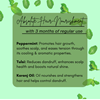 Picture of Tulsi Cool KIng _ Ayurvedic Hair Oil